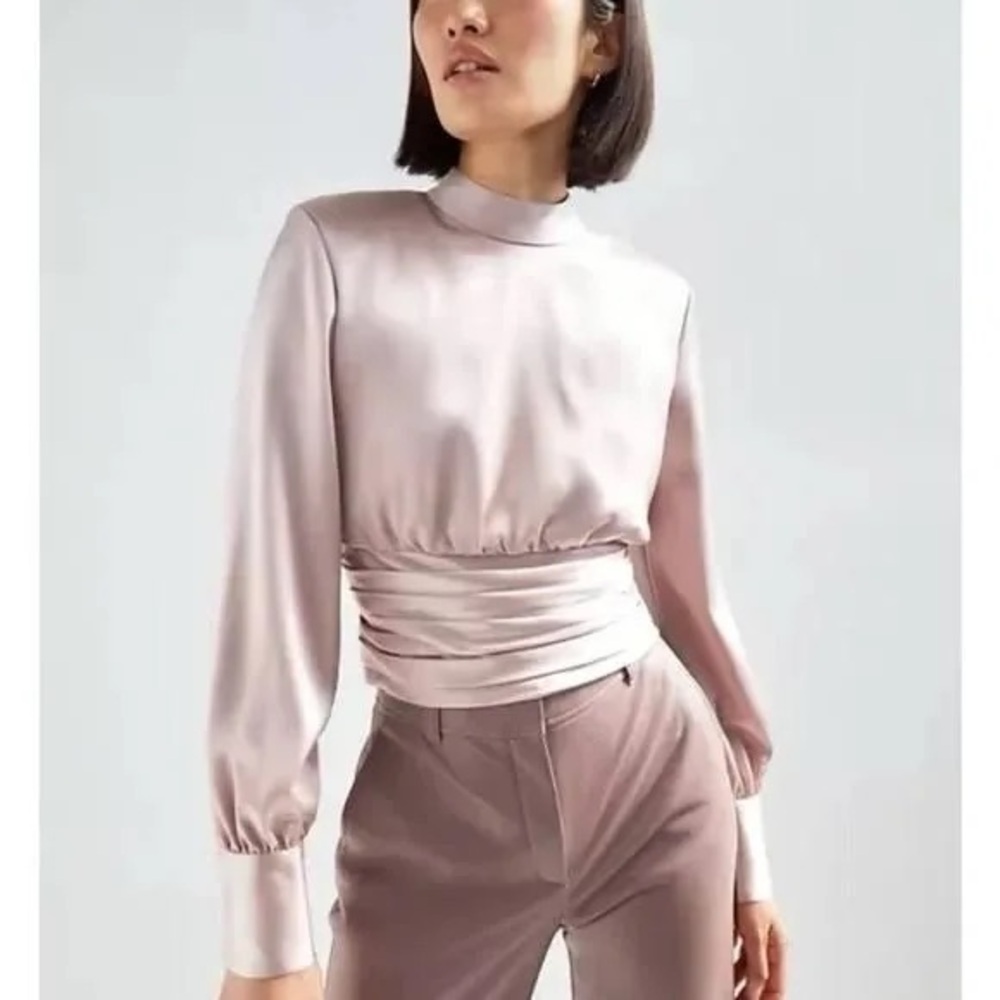 Aritzia Babaton Chocolate Brown Rosalia Ruched Satin Elegant Blouse Mock Neck - Picture 12 of 14